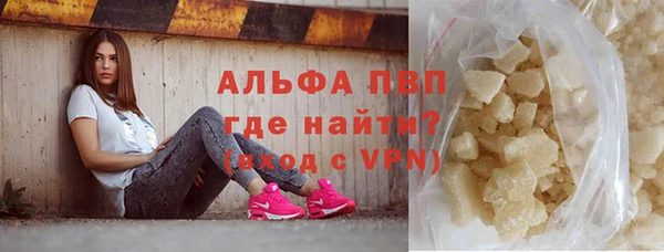 PSILOCYBIN Богданович