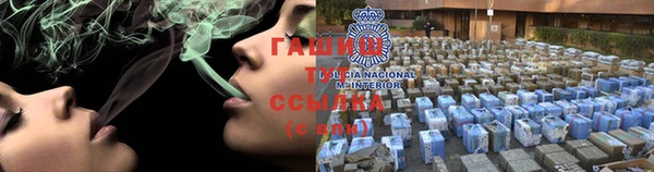 стаф Богородск