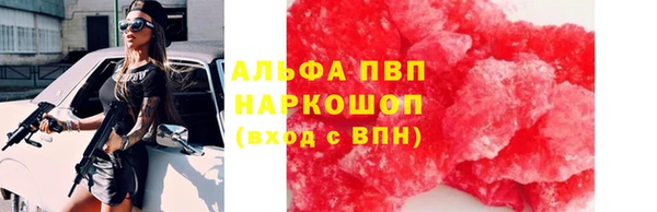 ПСИЛОЦИБИНОВЫЕ ГРИБЫ Богородицк