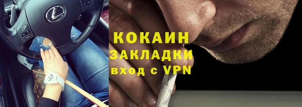 PSILOCYBIN Богданович