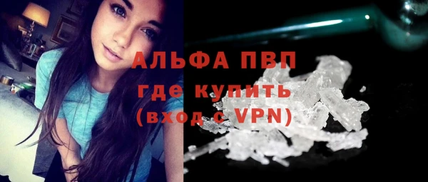 PSILOCYBIN Богданович