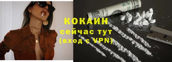 PSILOCYBIN Богданович
